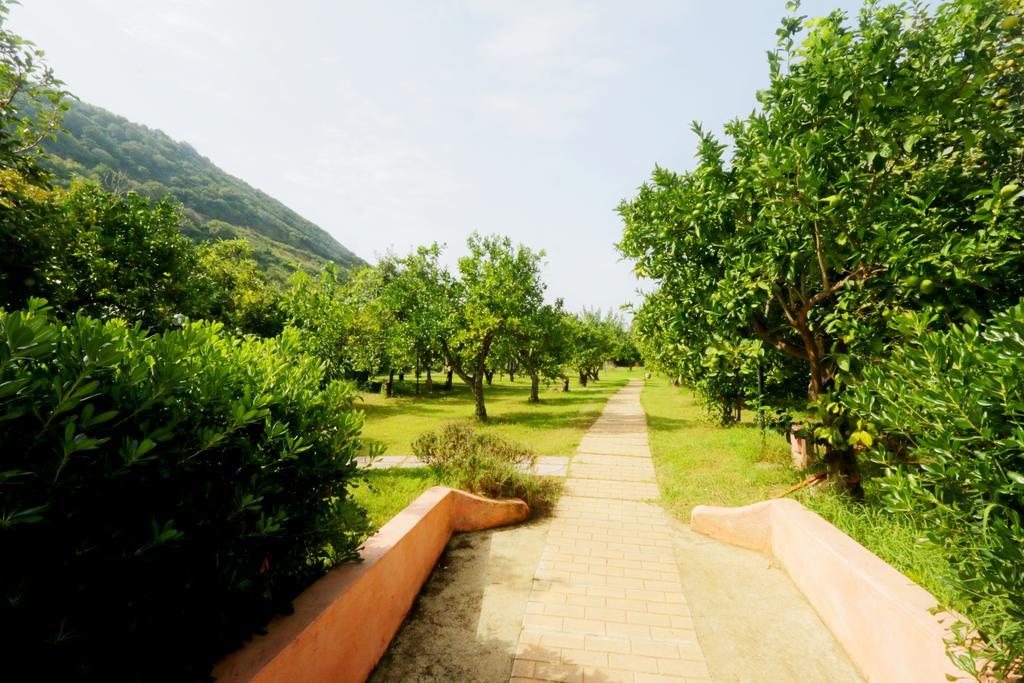 الشقق الفندقية بارغيليافي  Residenza La Vigna المظهر الخارجي الصورة